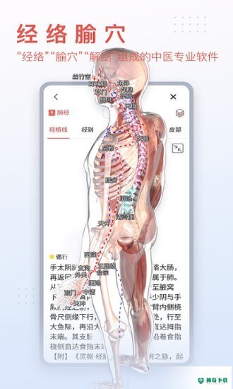 3Dbody艺用app下载