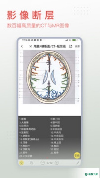 3Dbody解剖下载