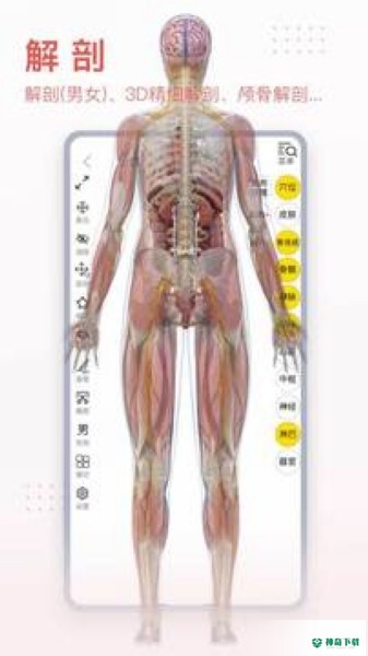 3Dbody解剖安卓版下载