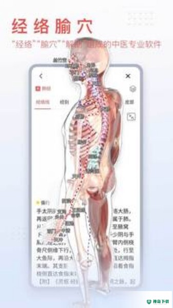 3Dbody解剖app下载