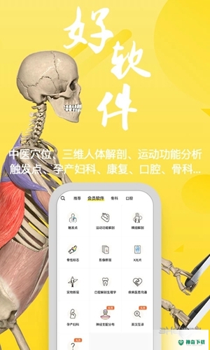3DBody安卓版下载