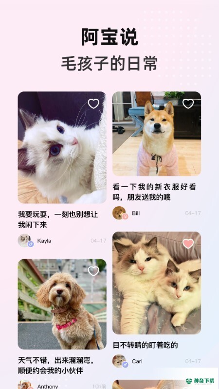 阿宝说app下载