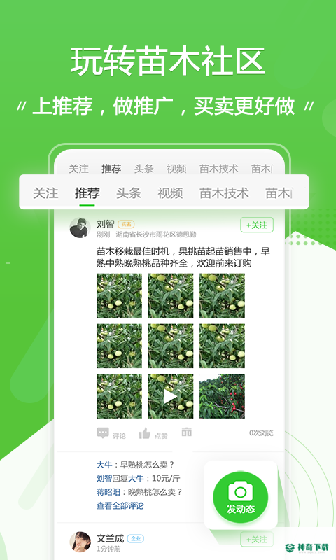 苗木通安卓版下载