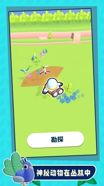 捕鸟大师安卓版官方最新版v1.0