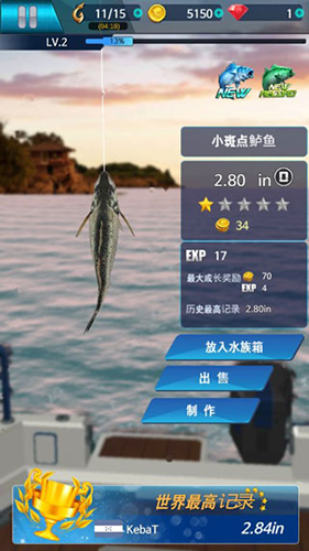钓鱼锦标赛游戏下载