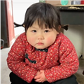 抖音合成杨金刚 官方最新版 