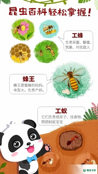 宝宝巴士奇妙昆虫世界安卓手游官方最新版下载
