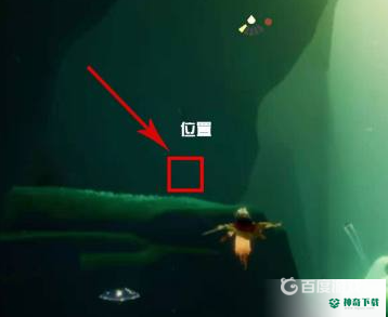 光遇小王子在雨林哪里？_光遇玩法分享_神奇下载