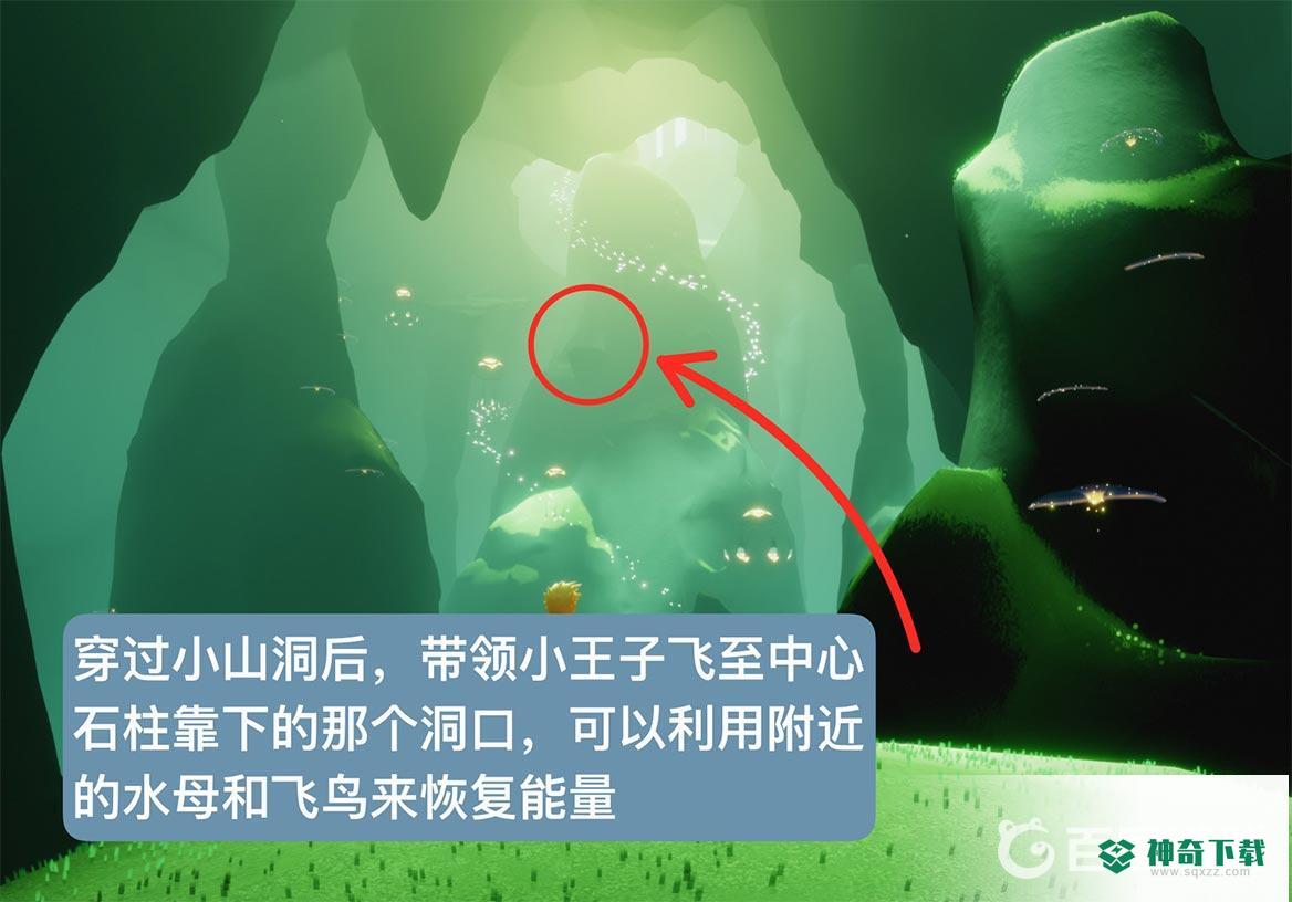 光遇雨林神秘山洞玫瑰的朋友在哪？_光遇玩法分享_神奇下载