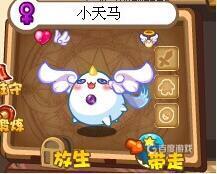 洛克王国新手任务抓哪五个宠物？_洛克王国玩法分享_神奇下载