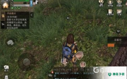 明日之后松茸在哪里采集？_明日之后攻略教程_神奇下载