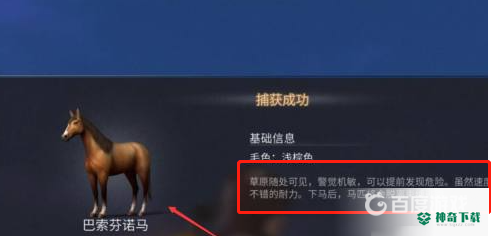 明日之后马被捉到以后怎么存放?_明日之后攻略玩法_神奇下载