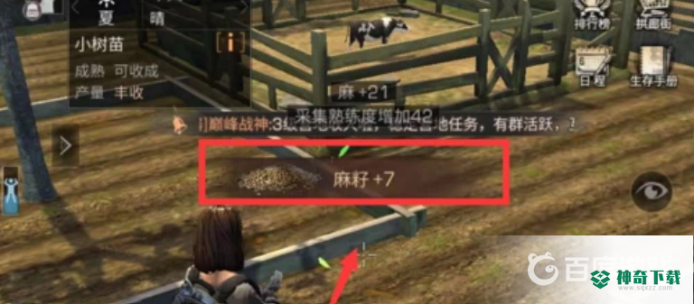 明日之后的麻籽怎么获得？_明日之后教程_神奇下载