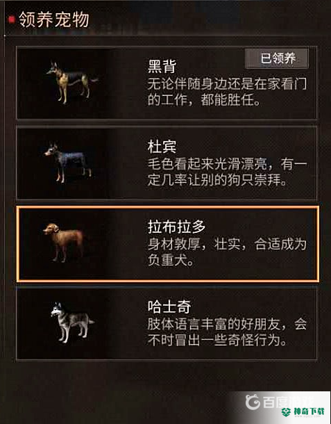 明日之后新手怎么玩？_明日之后玩法分享_神奇下载
