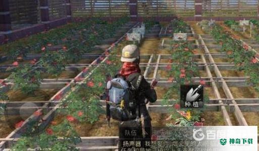 玫瑰花加多少好感度?_明日之后玩法分享_神奇下载