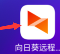 向日葵远程控制在哪里扫描_神奇下载站