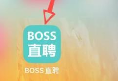 boss直聘怎么联系在线客服_神奇下载站