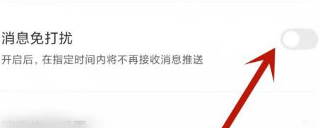 boss直聘如何开启消息免打扰_神奇下载站