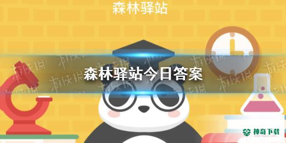 熊猫的“手”有几个指头_神奇下载站