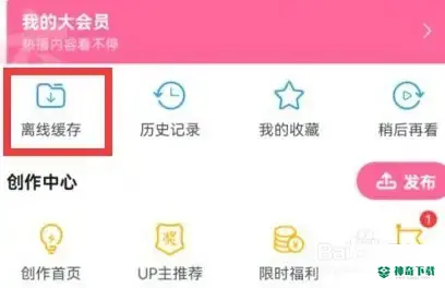 哗哩哗哩怎么缓存视频_神奇下载站