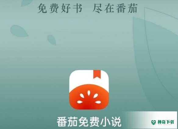 番茄小说怎么下载小说_神奇下载站