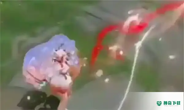 王者荣耀妲己新皮肤九尾狐多少钱_王者荣耀教程玩法_神奇下载