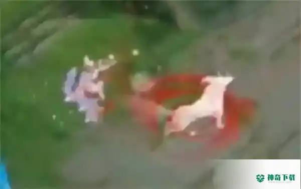 王者荣耀妲己新皮肤九尾狐多少钱_王者荣耀教程玩法_神奇下载