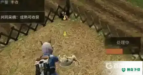 明日之后怎么快速赚金条？_明日之后教程_神奇下载