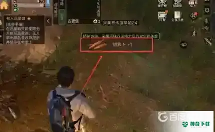 明日之后胡萝卜在哪？_明日之后攻略玩法_神奇下载