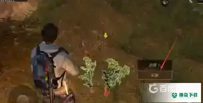 明日之后胡萝卜在哪？_明日之后攻略玩法_神奇下载