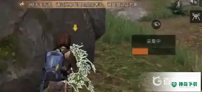明日之后黄麻叶怎么获得？_明日之后攻略玩法_神奇下载