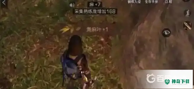 明日之后黄麻叶怎么获得？_明日之后攻略玩法_神奇下载