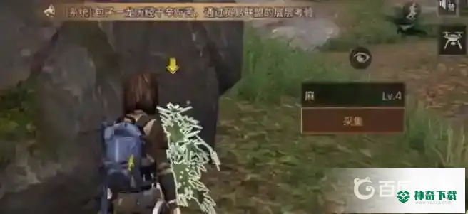 明日之后黄麻叶怎么获得？_明日之后攻略玩法_神奇下载