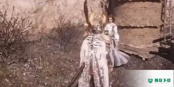 卧龙苍天陨落寻找夫君任务怎么做_卧龙苍天陨落攻略_神奇下载