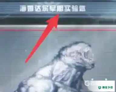 明日之后半感染者如何进入？_明日之后攻略分享_神奇下载