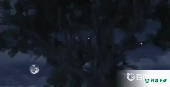 明日之后寄生花苞在哪？_明日之后攻略分享_神奇下载