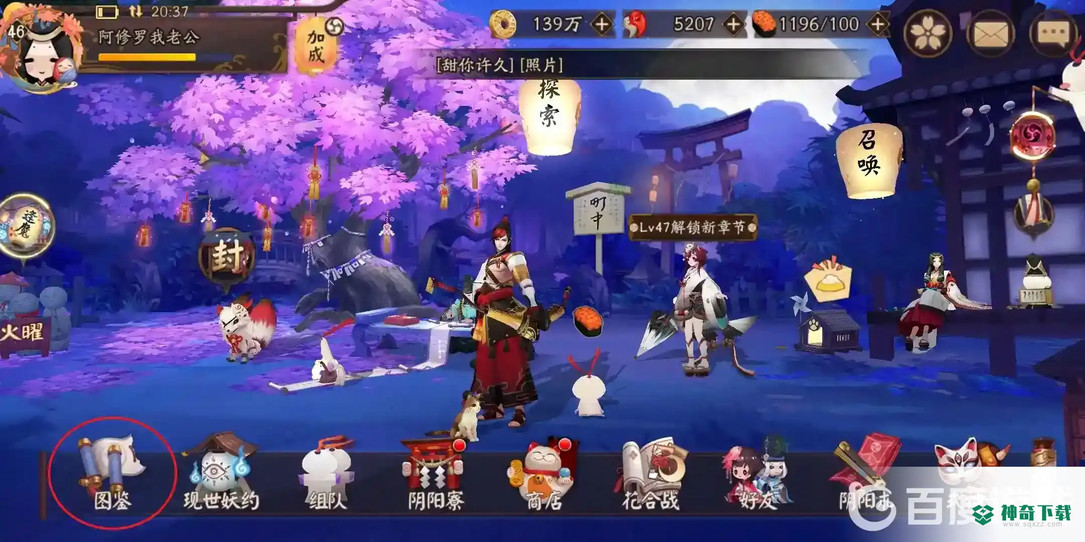 阴阳师怎么看自己多少皮肤？_阴阳师攻略_神奇下载