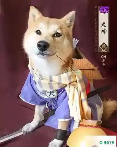 哪十个SR式神最值得培养？_阴阳师教程分享_神奇下载