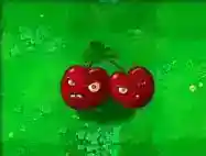 哪个植物威力最大？_植物大战僵尸教程玩法_神奇下载