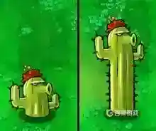 会飞僵尸用什么植物打?_植物大战僵尸玩法分享_神奇下载