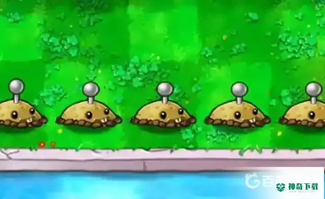 每种植物分别对应什么僵尸？_植物大战僵尸教程玩法_神奇下载