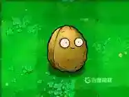 每种植物分别对应什么僵尸？_植物大战僵尸教程玩法_神奇下载