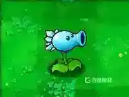 每种植物分别对应什么僵尸？_植物大战僵尸教程玩法_神奇下载