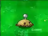 每种植物分别对应什么僵尸？_植物大战僵尸教程玩法_神奇下载