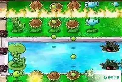 花园里培养植物有什么用？_植物大战僵尸攻略分享_神奇下载