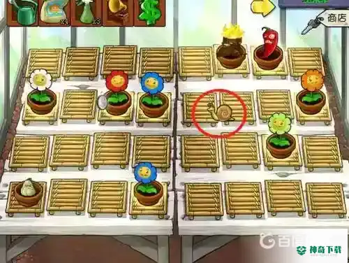 花园里培养植物有什么用？_植物大战僵尸攻略分享_神奇下载