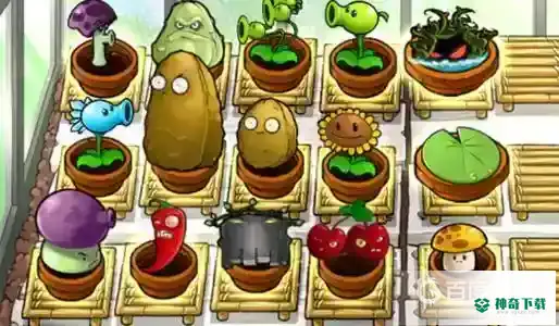 花园里培养植物有什么用？_植物大战僵尸攻略分享_神奇下载