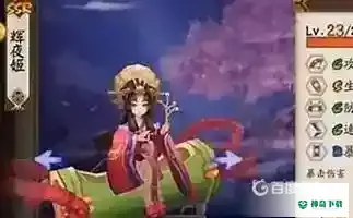 辉夜姬搭配什么御魂？_阴阳师玩法分享_神奇下载