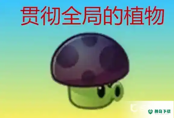夜晚模式推荐什么阵容？_植物大战僵尸攻略教程_神奇下载