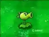 都有哪些植物？_植物大战僵尸教程分享_神奇下载